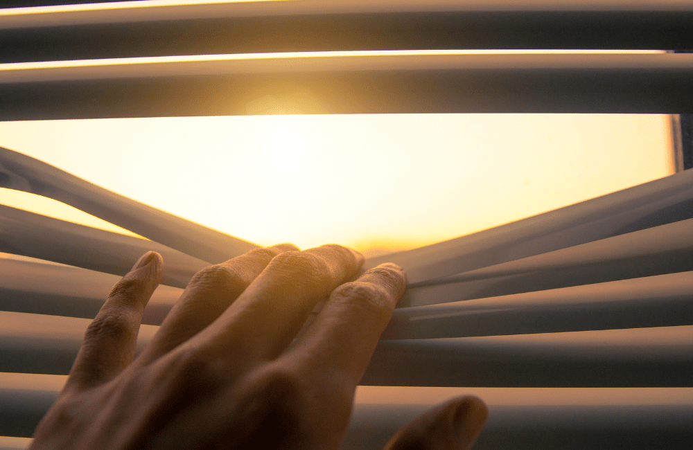 Consult with Professionals