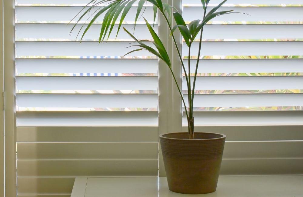 Discover the Perfect Quality Blinds for Your Home at East End Blinds & Window Treatments