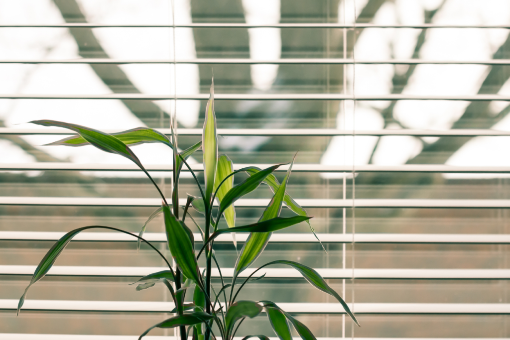 Transform Your Restaurant with Window Treatment - East End Blinds!