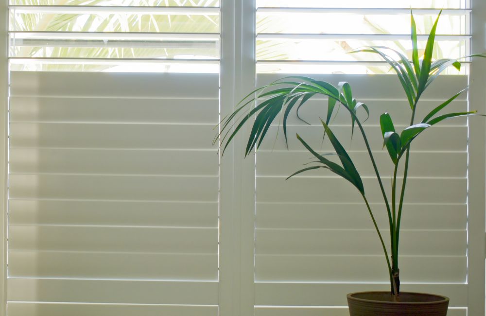 6 Ways Hunter Douglas Blinds Enhance Minimalist Design