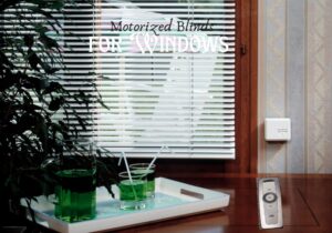 Motorized Blinds for Windows