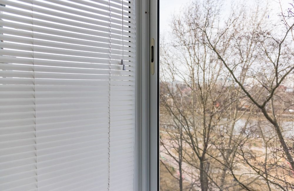 fitted window blinds