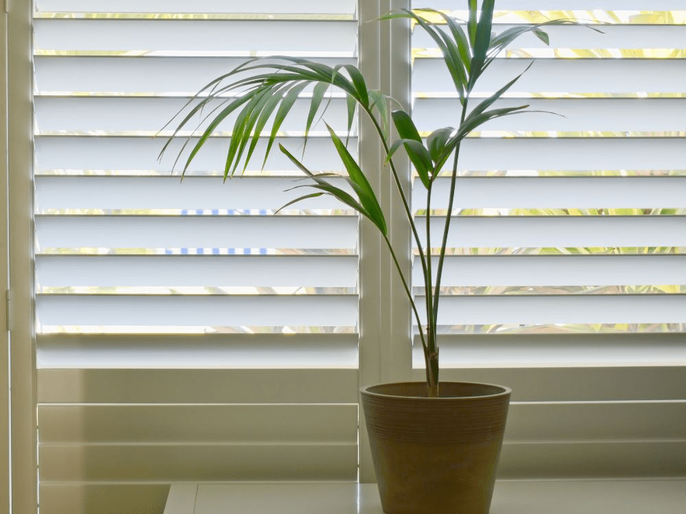 Wooden Shutters Interior