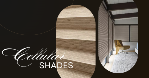 Blackout Cellular Window Shades